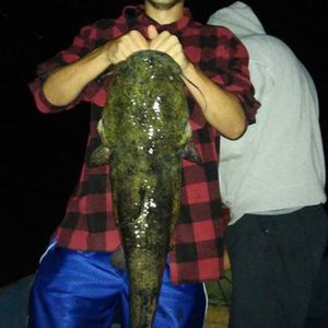 Meet your Posher, Cory